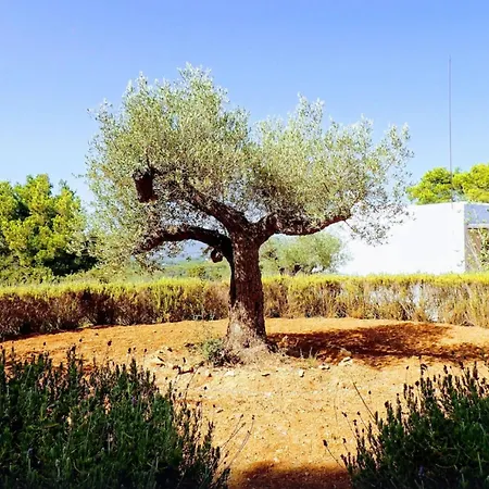 Ibiza Large And Luxurious Finca In Very Exclusive Environment Santa Eularia des Riu
